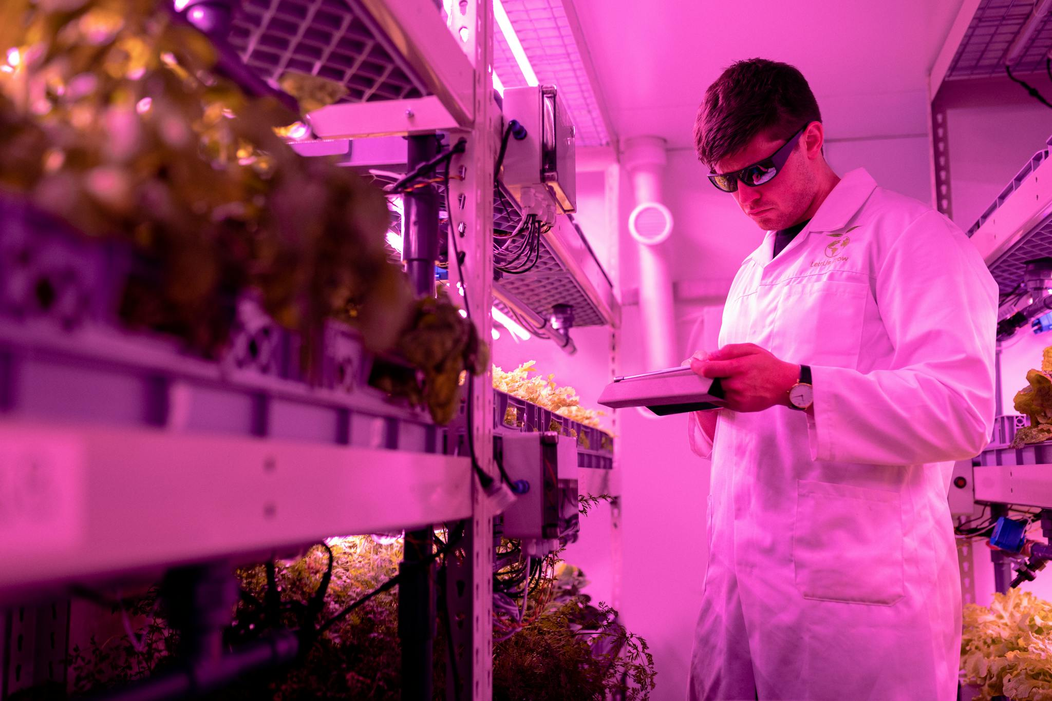 Scientist in lab coat examining plants in a high-tech indoor farming setup with ultraviolet lighting.